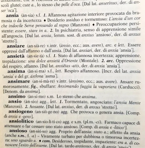 ansia-dizionario